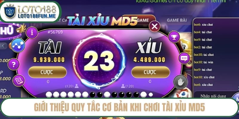 Giới thiệu quy tắc cơ bản khi chơi tài xỉu MD5